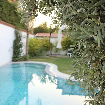Hotel Mina 3*